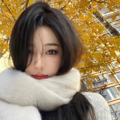 容易受伤的玫瑰