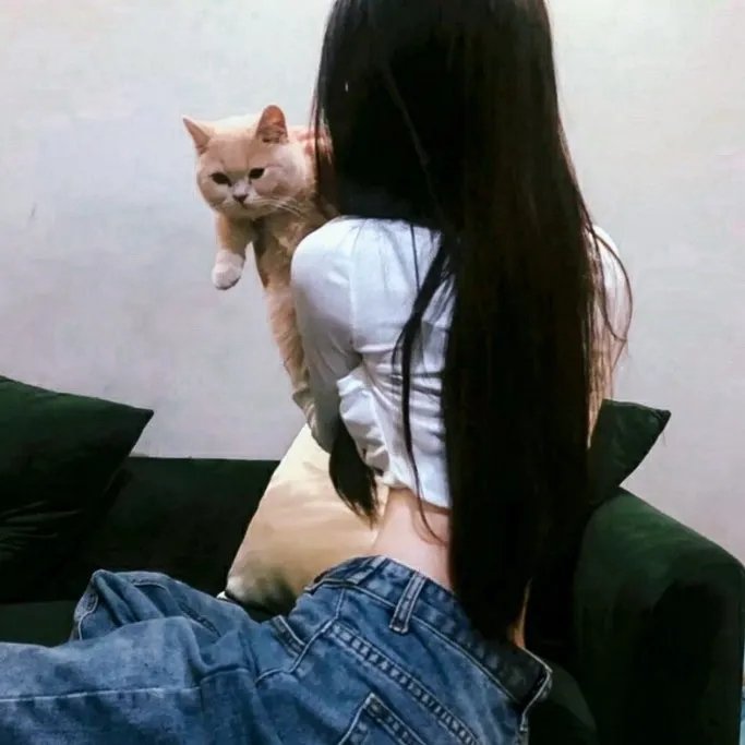 我们恋爱的履历